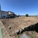 北東から（ローアングル）